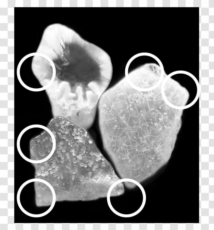 Scanning Electron Microscope Sand Magnification - Monochrome Photography Transparent PNG