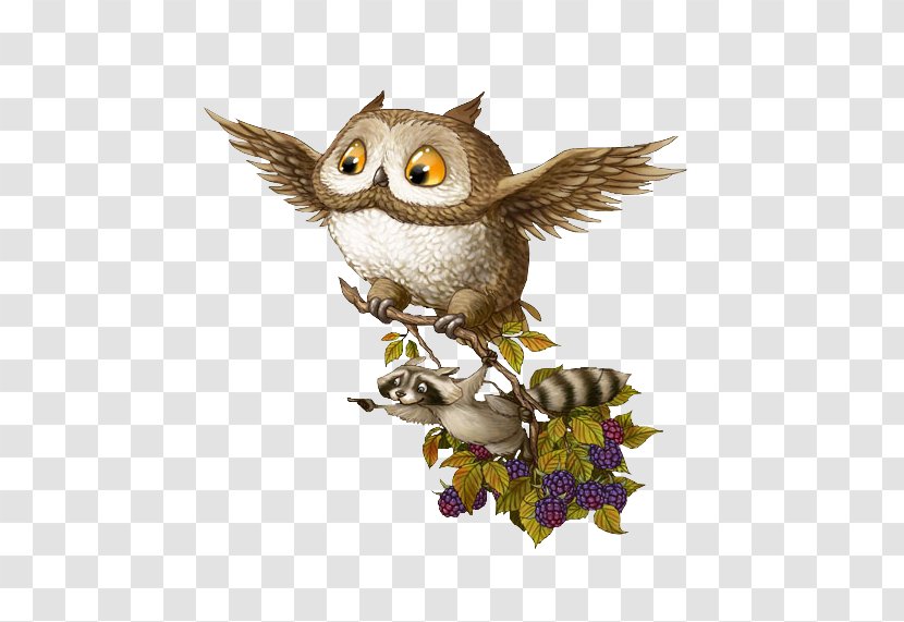 Baby Owls Raccoon Bird Barn Owl - Beak - Cartoon Civet Cats Transparent PNG