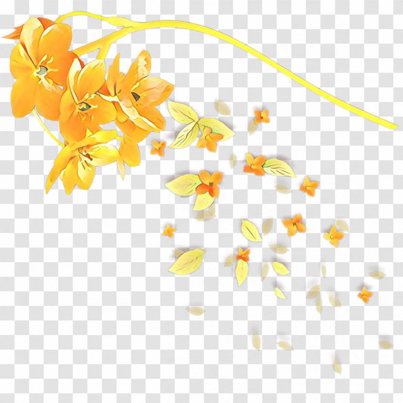 Floral Flower Background - Yellow - Plant Transparent PNG