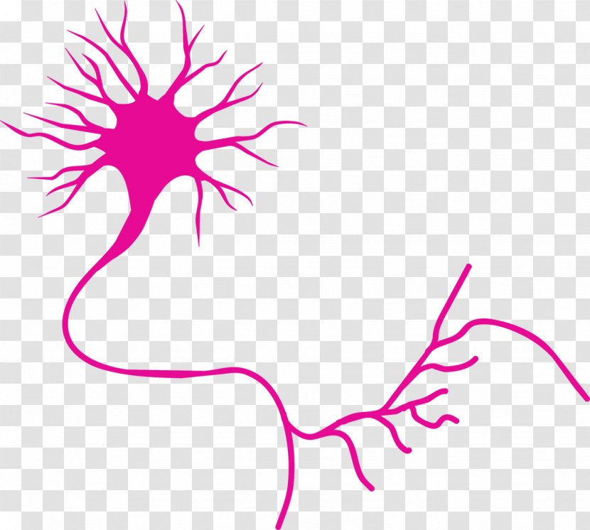 Motor Neuron Nervous System Axon - Cartoon - Tree Transparent PNG