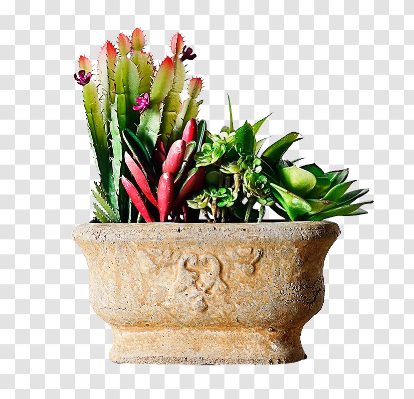 Vase Flowerpot - Bonsai - Clay Download Transparent PNG