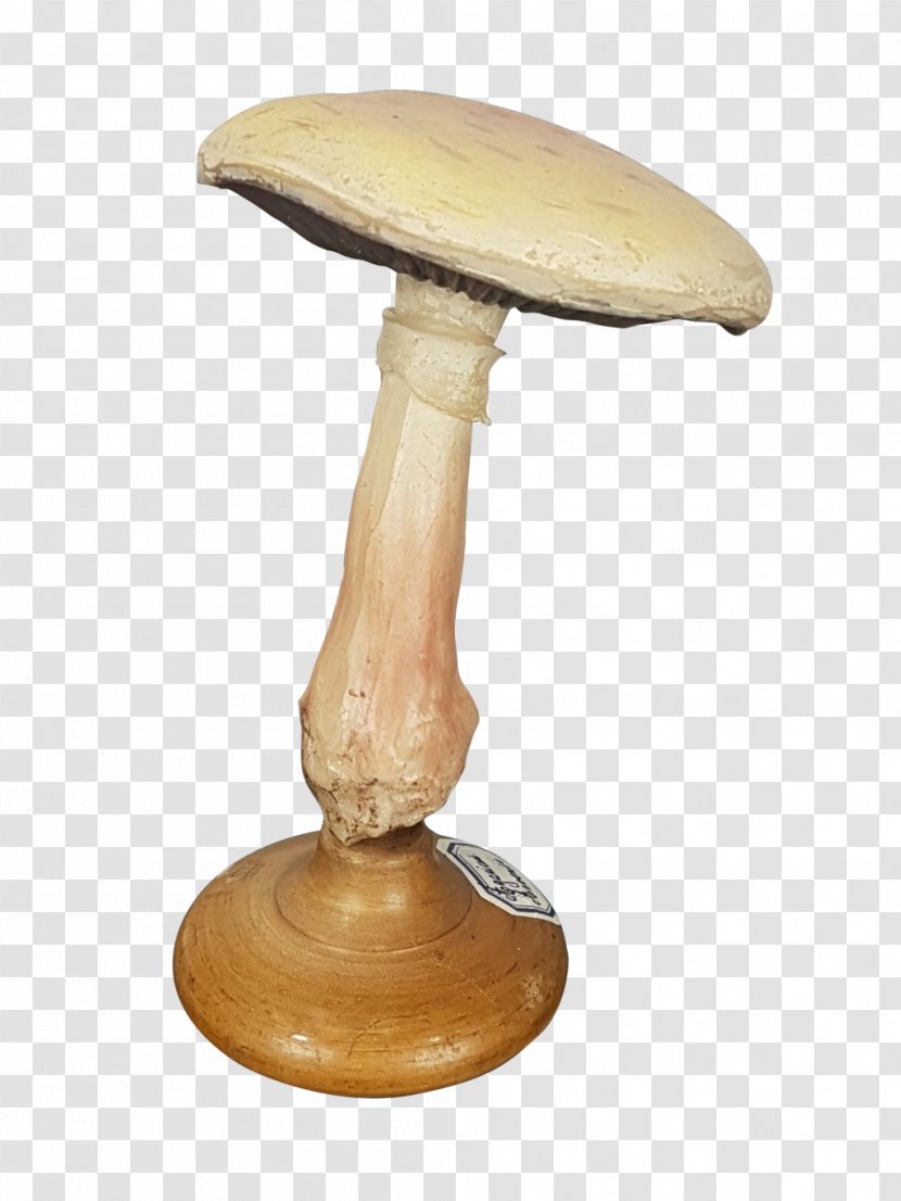 Furniture - Fungi Transparent PNG