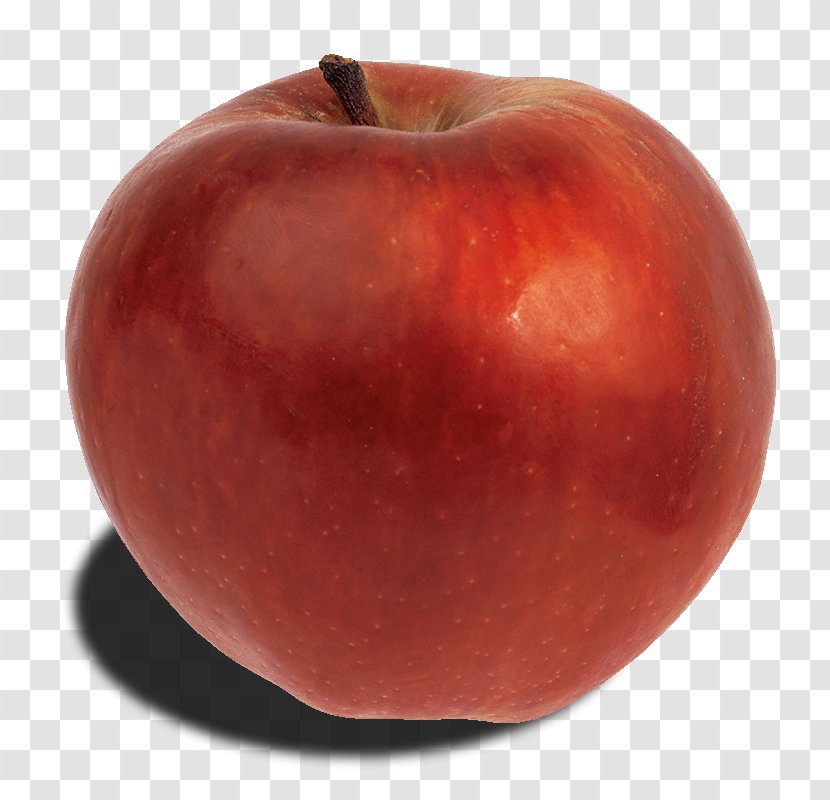 Red Delicious Apple Fruit - Ping - Safe Material Transparent PNG