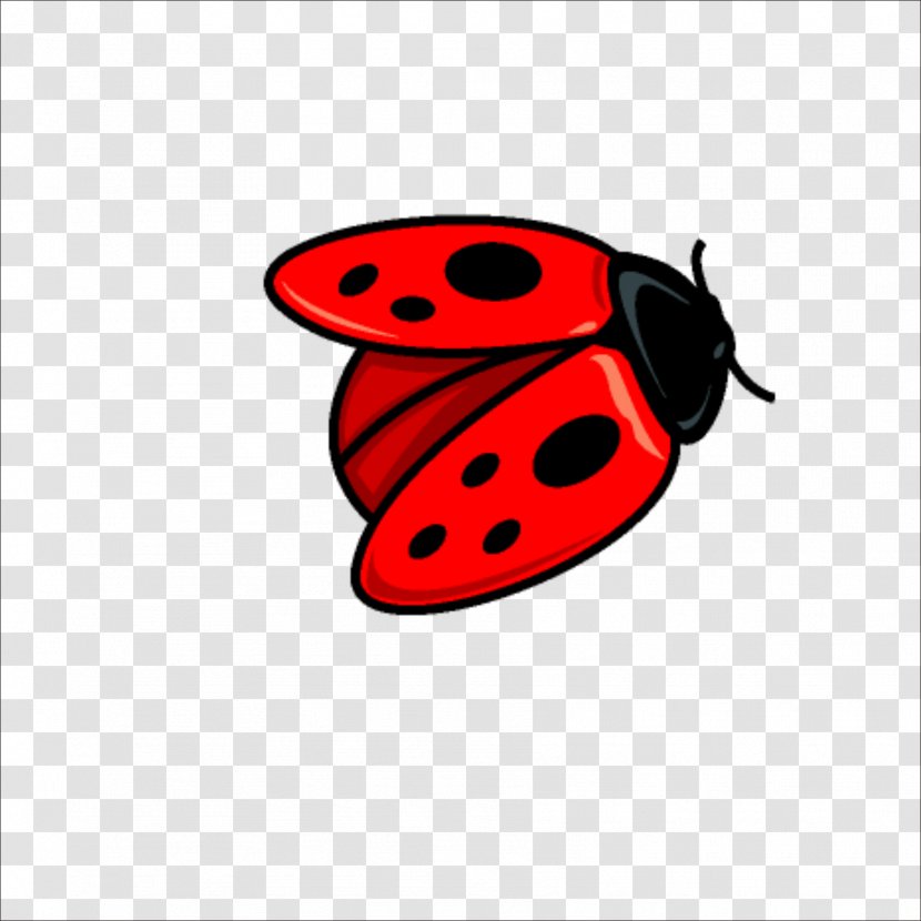 Beetle Coccinella Septempunctata Free Ladybird Drawing - Insect - Ladybug Transparent PNG