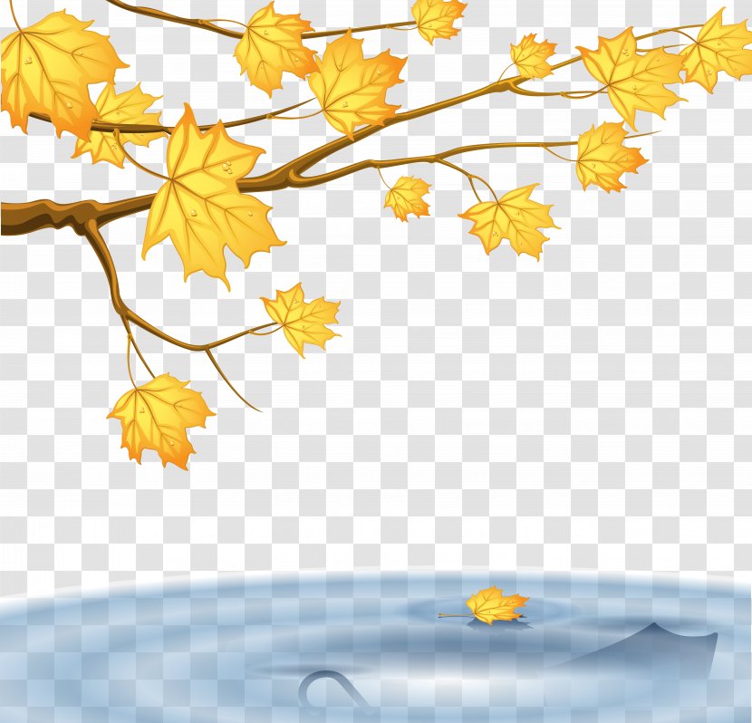 Eleven Minutes Like The Flowing River Author Publishing DC Books - Twig - Maple Autumn Transparent PNG
