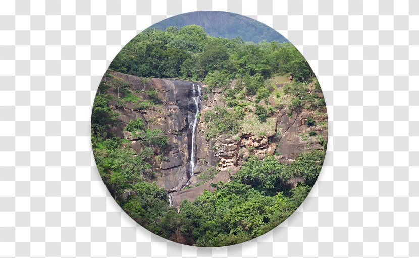 Mount Nimba Strict Nature Reserve Protected Area Tourist Attraction Game - Nikhil Transparent PNG