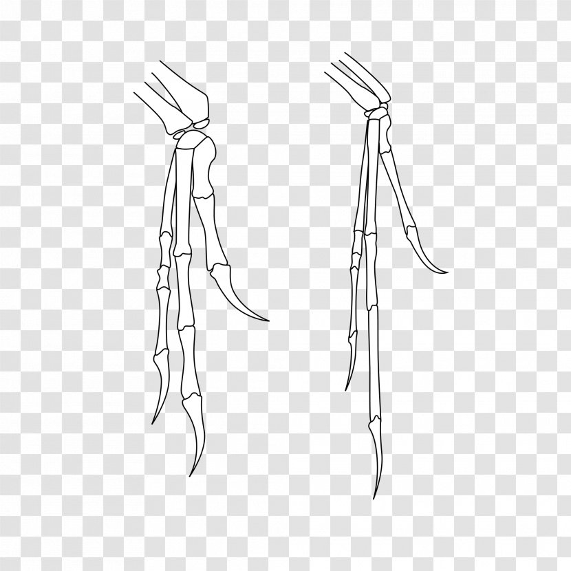 Nazca Hand Cusco Sketch - Drawing - Velociraptor Bone Transparent PNG