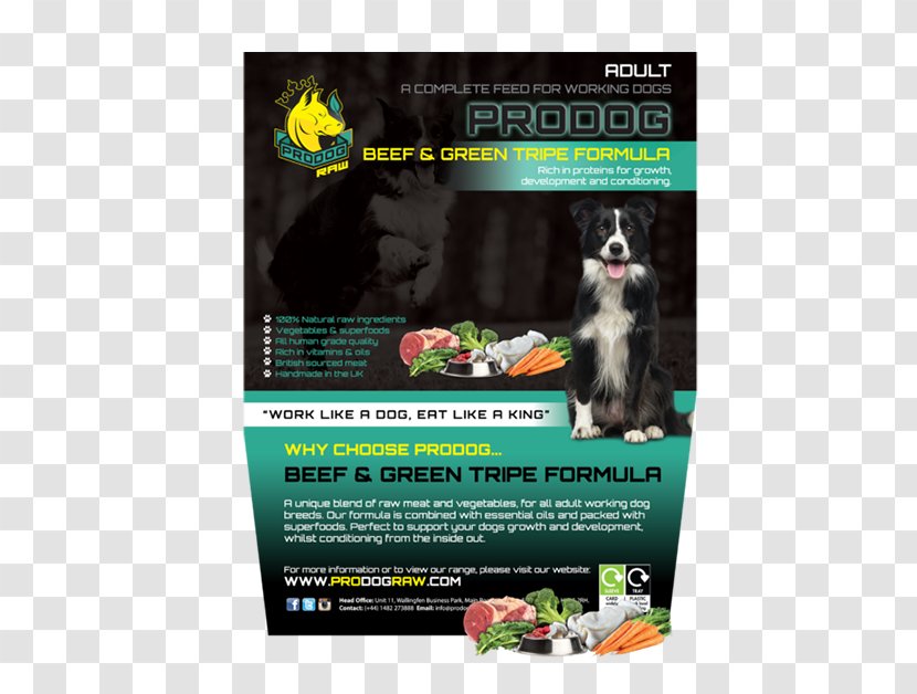 Raw Foodism ProDog Feeding Dog Food - Advertising - Prodog Transparent PNG