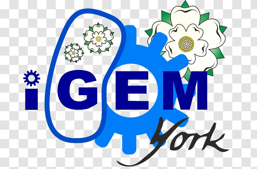 Logo New York City International Genetically Engineered Machine Clip Art Brand - Human - E Coli Transparent PNG