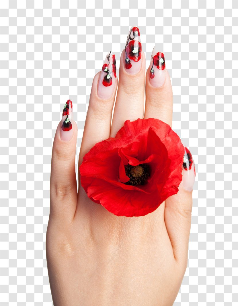 Nail Art High-definition Television Polish Video - Care - Personalized Red Tones Transparent PNG