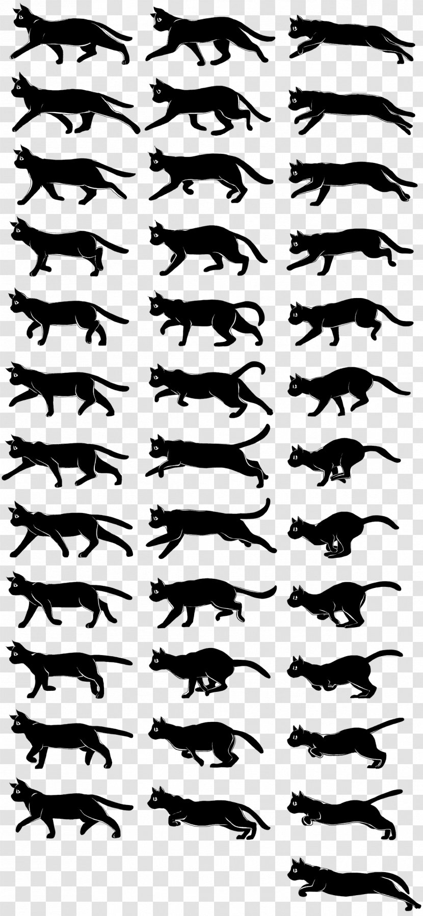 Walk Cycle Animation Cat Drawing Walking - Area Transparent PNG