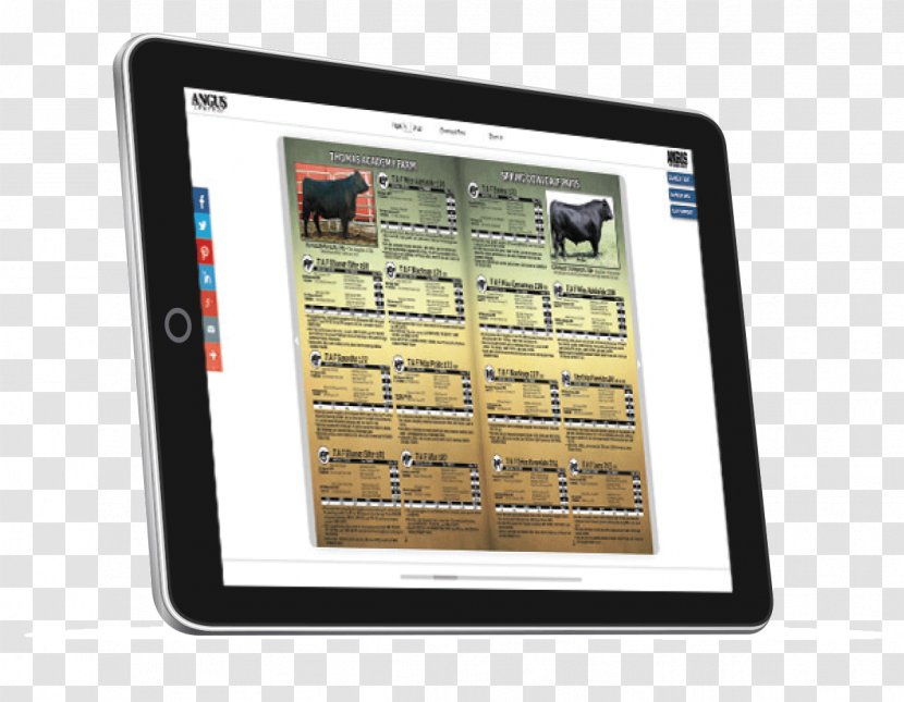 Angus Cattle Beef Journal Transparent PNG
