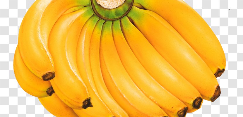 Cooking Banana Fruit Berry Sugar - Family Transparent PNG