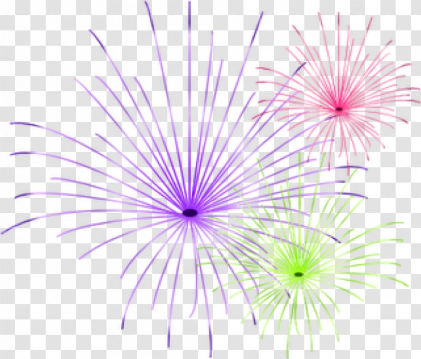 Fireworks New Year Firecracker Clip Art - Violet Transparent PNG
