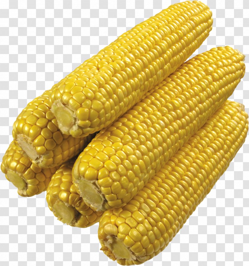 Flint Corn Sweet - Maize - Image Transparent PNG
