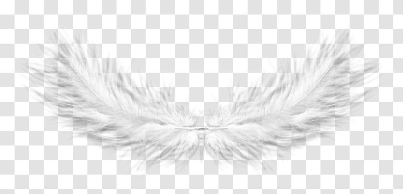 Feather Book Text Transparent PNG