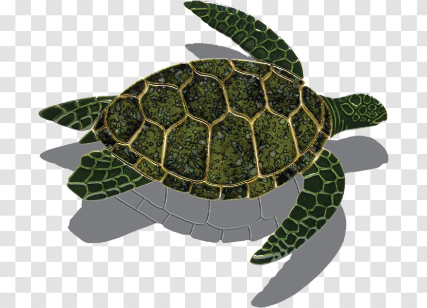 Loggerhead Sea Turtle Tortoise Green - Ceramic Transparent PNG
