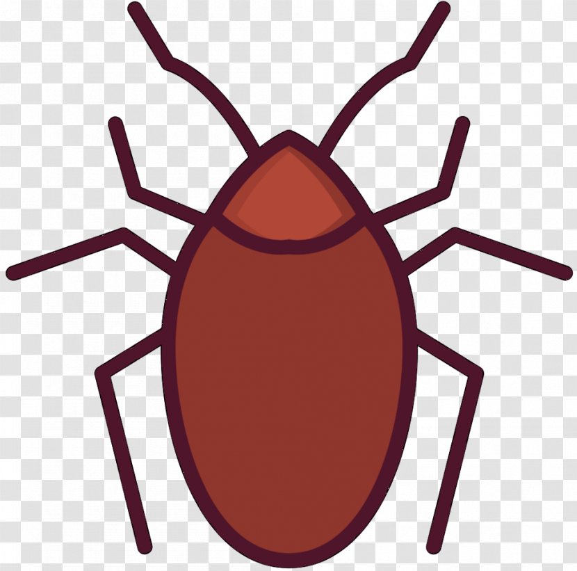 Cockroach Insect Vector Graphics Illustration Mosquito - Photography - Art Transparent PNG