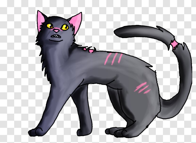 Black Cat Warriors Mistystar Stonefur - Carnivoran Transparent PNG