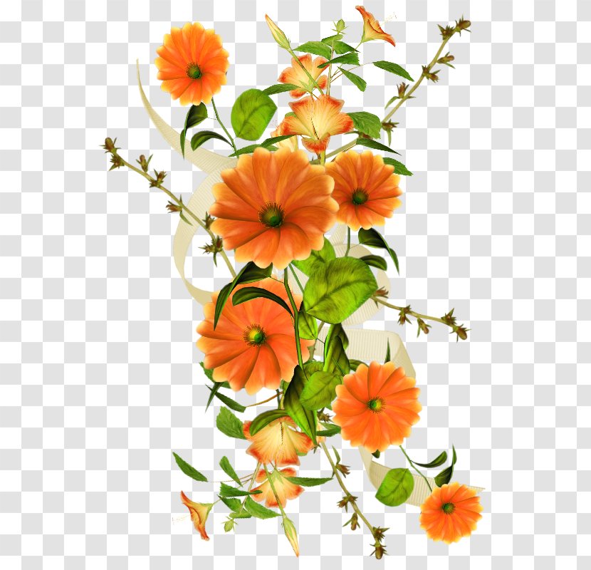 Collage Computer File - Calendula - Flowers Background Material Transparent PNG