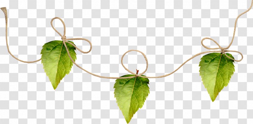 Leaf Flower Clip Art - Presentation - Necklace Transparent PNG