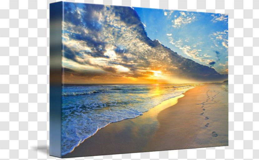 Shore Sand Beach Sea Canvas Transparent PNG