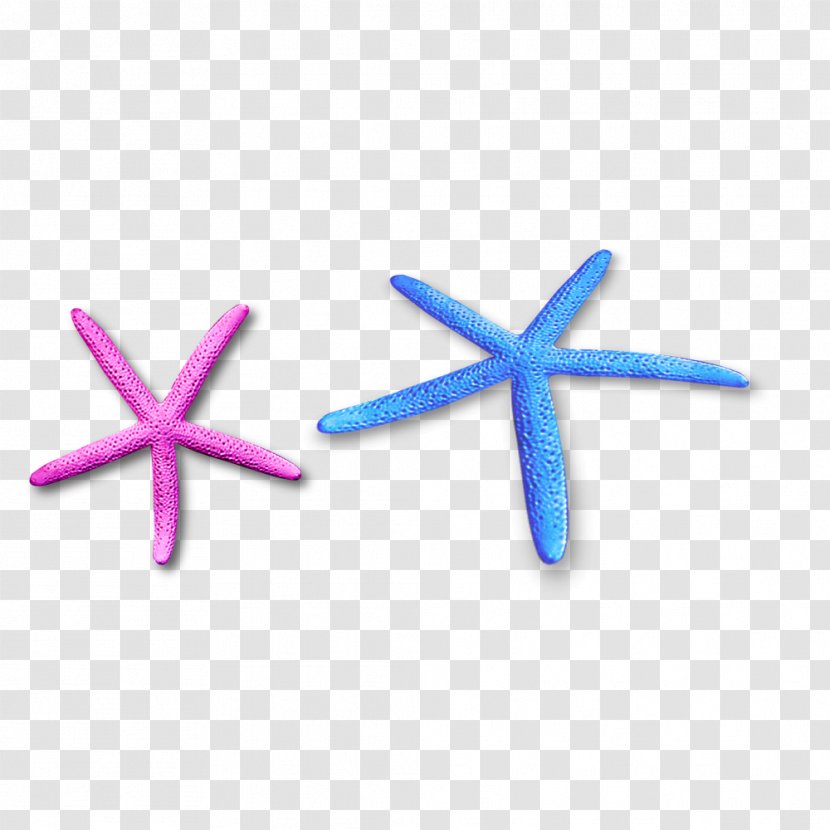 Starfish Seashell Icon - Echinoderm - Free Color Pull Material Transparent PNG