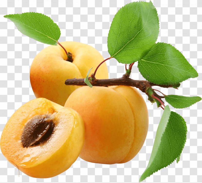 Peach Apricot Fruit Clip Art - Clipping Path Transparent PNG