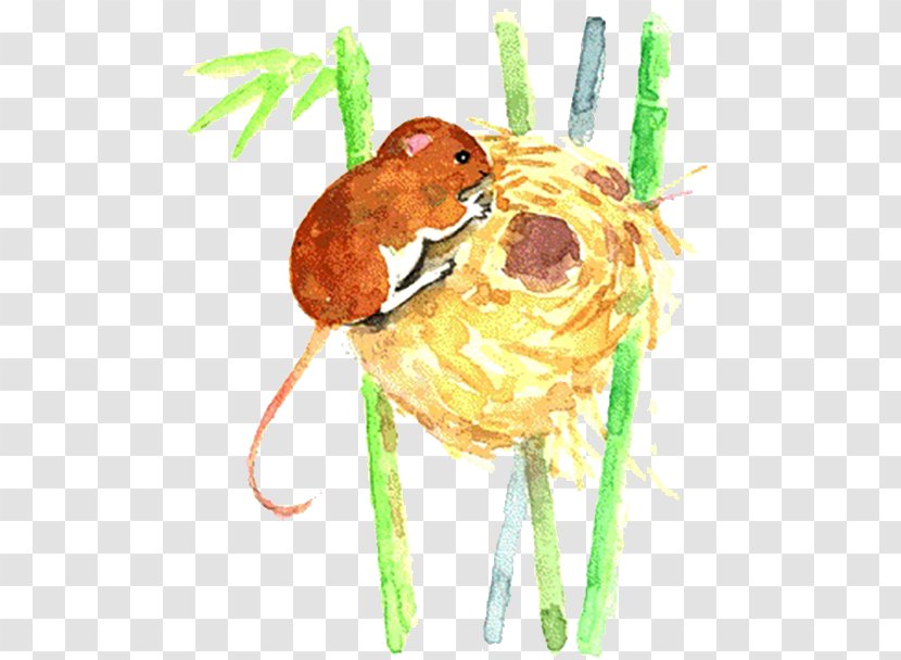 Mouse Muroidea Illustration - Vegetable - Steal The Eggs Of Mice Transparent PNG