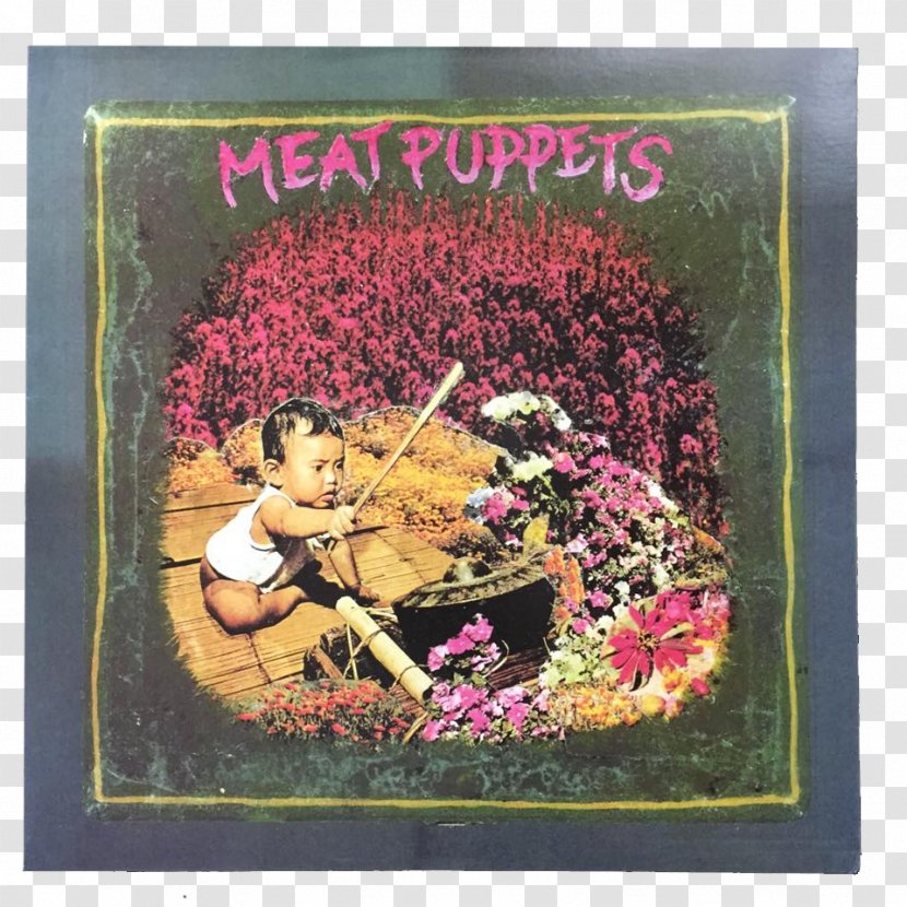 Meat Puppets II Up On The Sun Punk Rock Album - Flower - Products Cover Transparent PNG