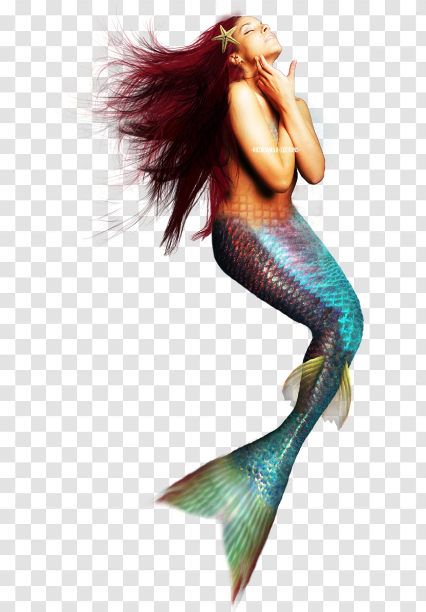 Mermaid Siren Photography - Wiki Transparent PNG