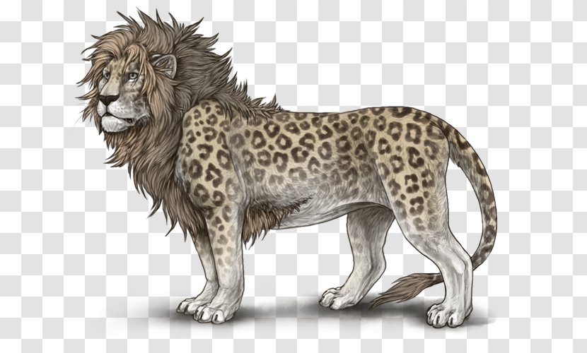 Lion Drawing Roar - King - Mottled Transparent PNG