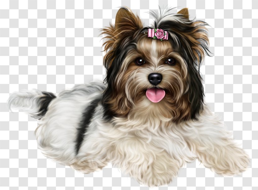 Yorkshire Terrier English Foxhound Beagle Biewer Maltese Dog - Small - Puppy Transparent PNG