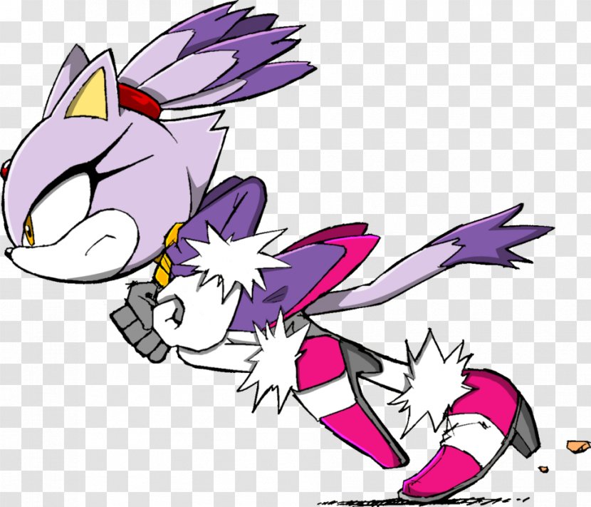 Sonic The Hedgehog Riders Chaos Doctor Eggman Amy Rose - Frame - Blaze Transparent PNG