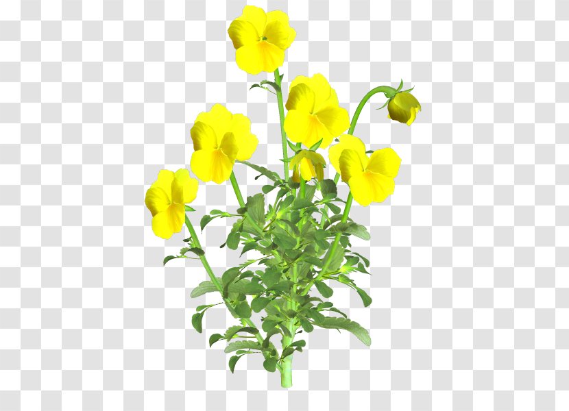 Cut Flowers Plant Stem - Mustard - Planta Transparent PNG