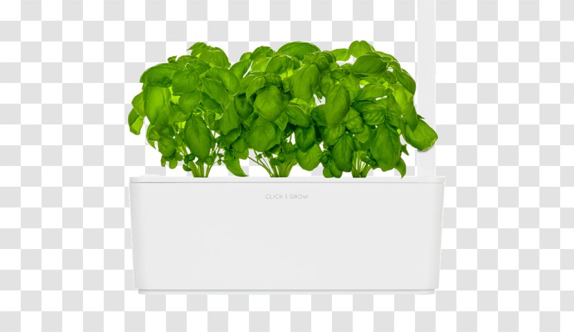 Raised-bed Gardening Click & Grow Kitchen Garden - Wild Strawberry - Herb Transparent PNG