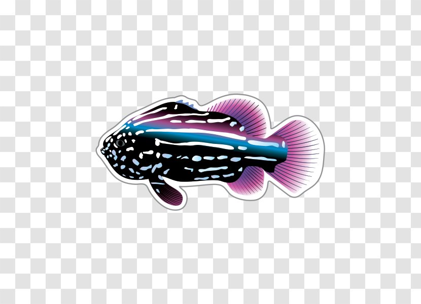 Tropical Fish Clip Art - Magenta Transparent PNG