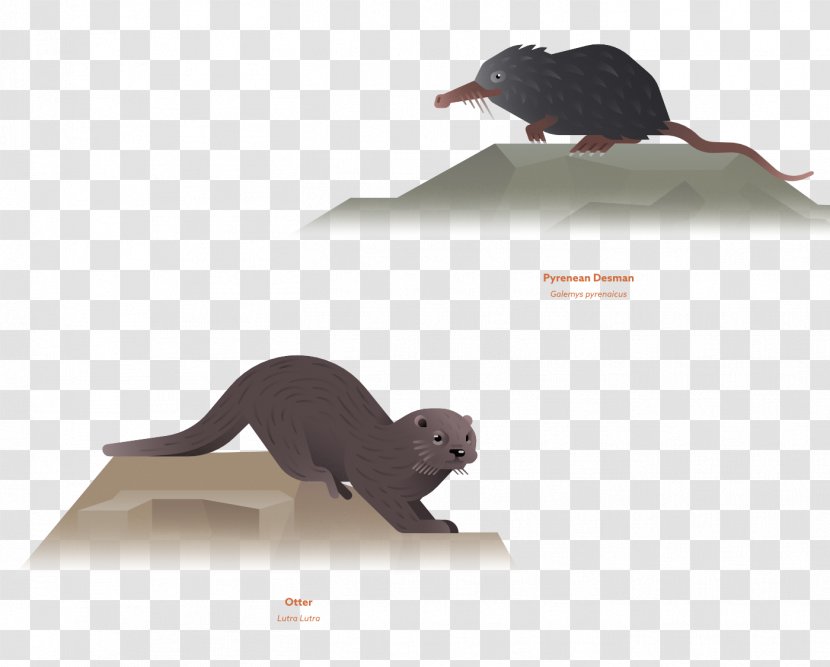 Rat Mouse Illustration - Animal - Lai Painted Animals, Water Transparent PNG