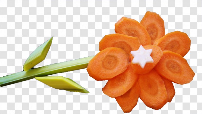 Carrot Vegetable Flower - Food - Flowers And Vegetables Transparent PNG