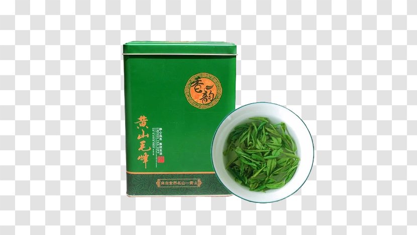 Huangshan City Green Tea Maofeng - Teacup - New Transparent PNG