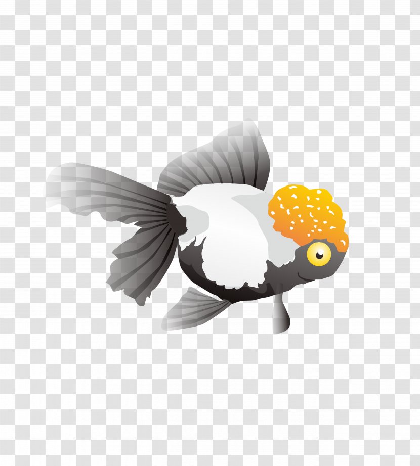 Goldfish CorelDRAW - Bird - Cartoon Fish Transparent PNG