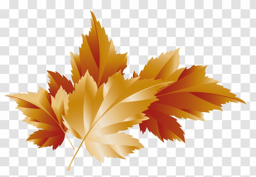 Autumn Leaf Color Maple Clip Art - Flower - Watercolor Transparent PNG