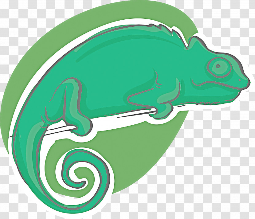 Fish Reptiles Green Line Biology Transparent PNG