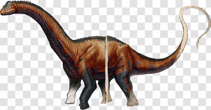 ARK: Survival Evolved Brontosaurus Stegosaurus Allosaurus Tyrannosaurus - Wildlife - Dinosaur Transparent PNG
