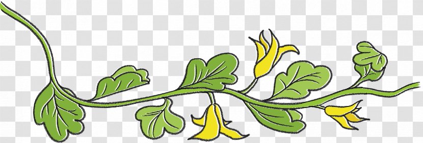 Floral Design Cut Flowers Plant Stem - Organism Transparent PNG
