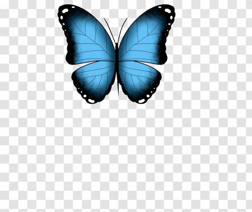Brush-footed Butterflies Butterfly GIF Clip Art Menelaus Blue Morpho Transparent PNG