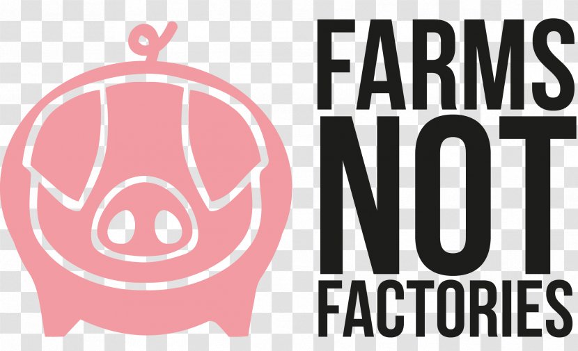 Intensive Animal Farming Agriculture Pig Farmer - Frame Transparent PNG