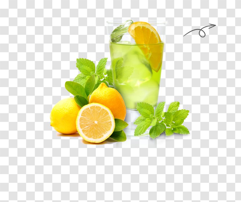 Lemonade Cocktail Garnish Limonana Mojito - Juice - Lemon Transparent PNG