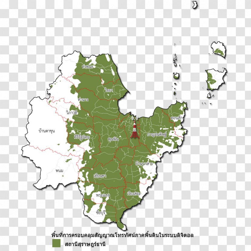 Map Tree Ecoregion Tuberculosis Transparent PNG