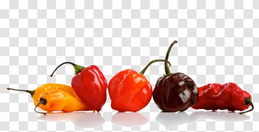 Habanero Cayenne Pepper Chili Carolina Reaper Peperoncino - Hot Sauce - Large Still Life Transparent PNG
